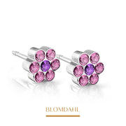Blomdahl -  Kolczyk Daisy Light Rose/ Amethyst 5 mm SFJ 2szt