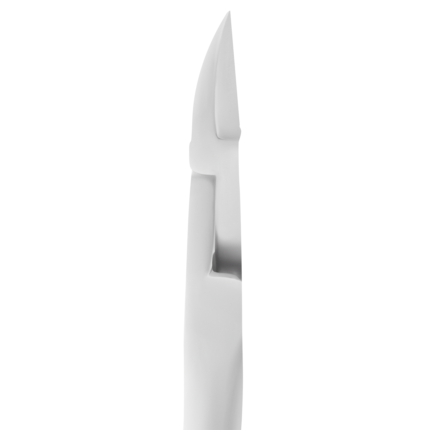 Profesjonalne cęgi do paznokci Expert 60 12mm