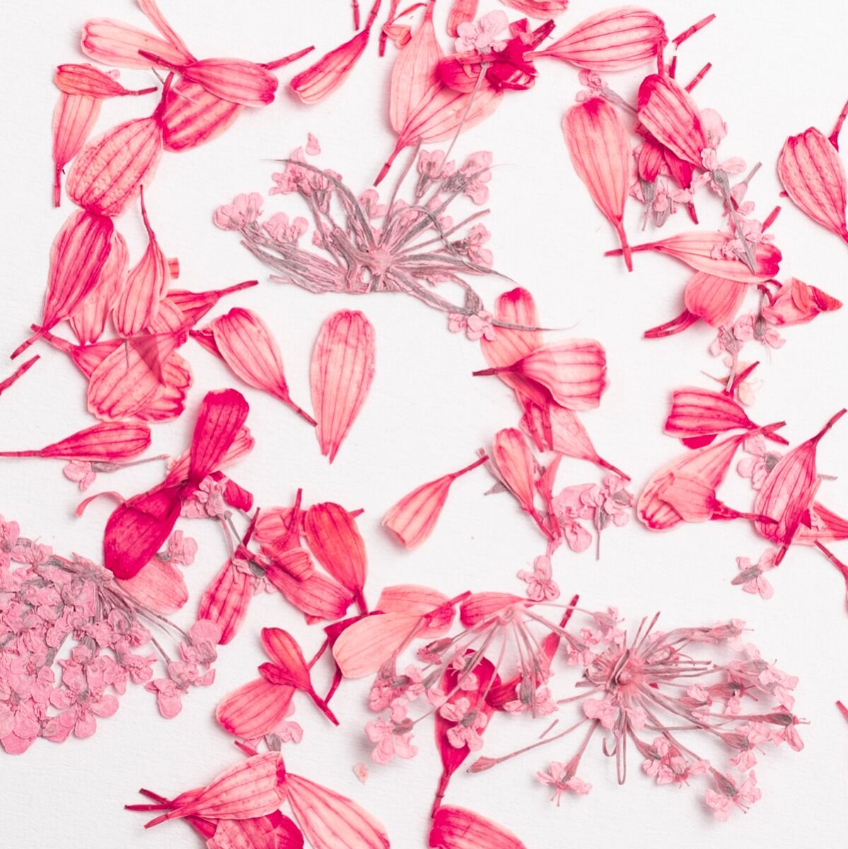 Semilac Flower Flakes Coral Blossom Kwiaty Do Zdobień