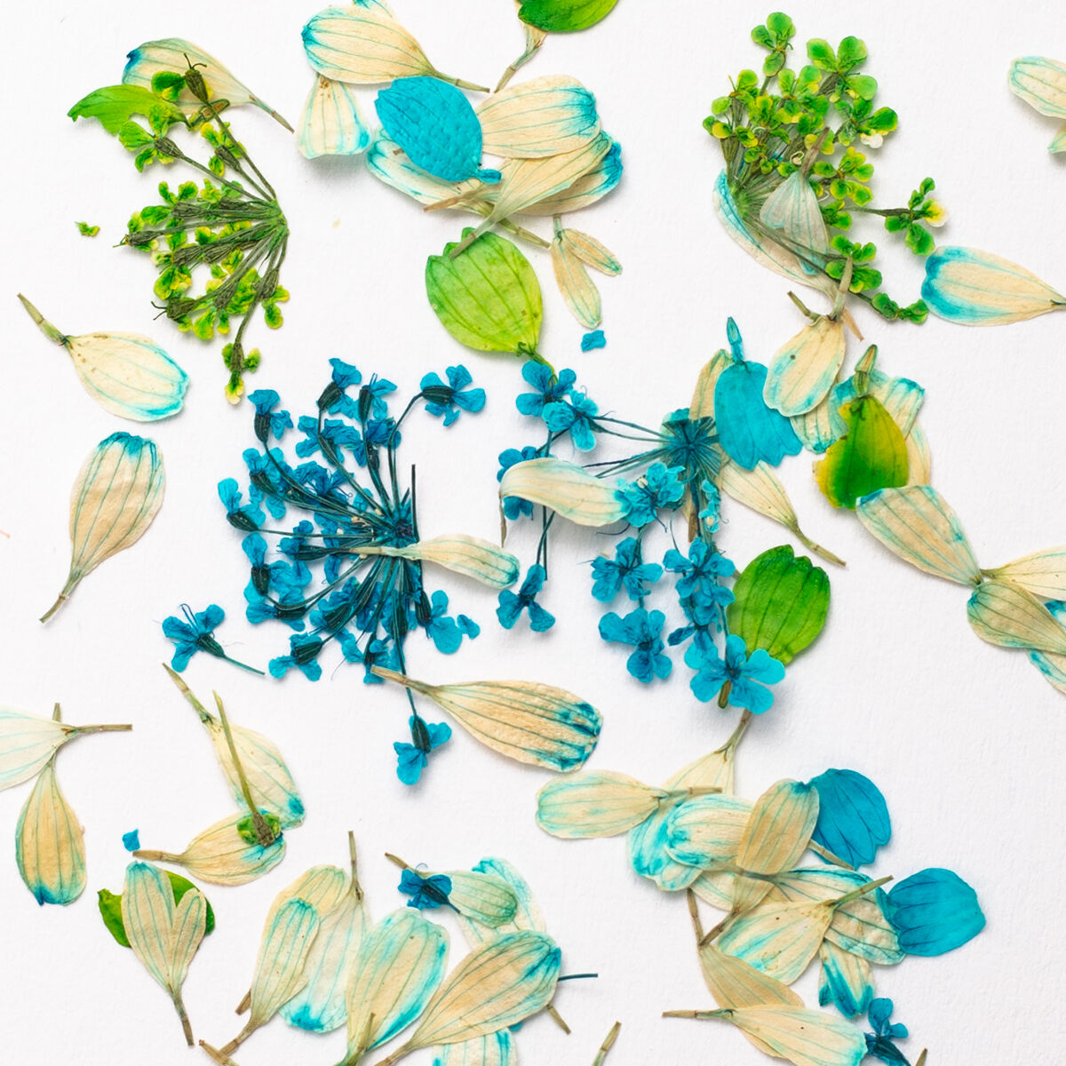 Semilac Flower Flakes Spring Meadow Kwiaty Do Zdobień