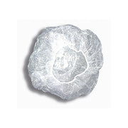 P&amp;N Czepki foliowe 10szt