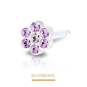 Blomdahl - Kolczyk Daisy Violet/ Crystal 5mm 2szt