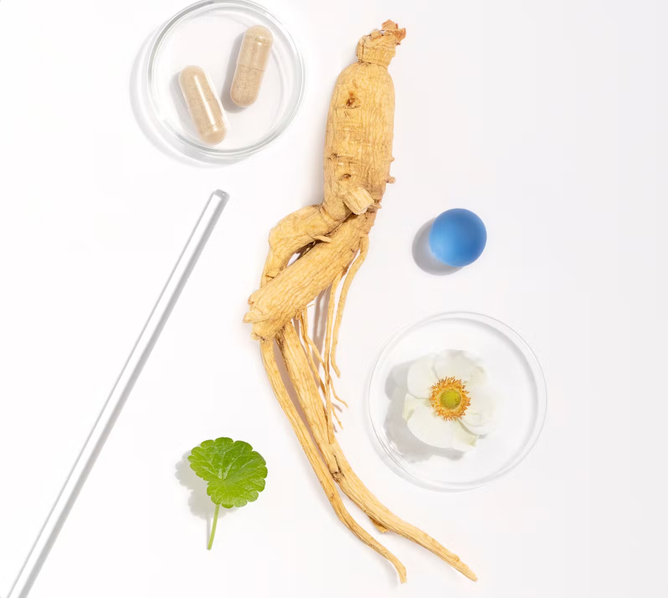 Health Labs Care Suplement Diety MemoryMe Formuła Na Pamięć I Koncentrację 60 Kapsułek