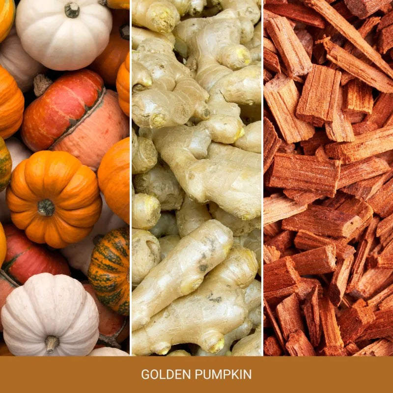 Yankee Candle Świeca Zapachowa Tumbler z 1 Knotem Golden Pumpkin