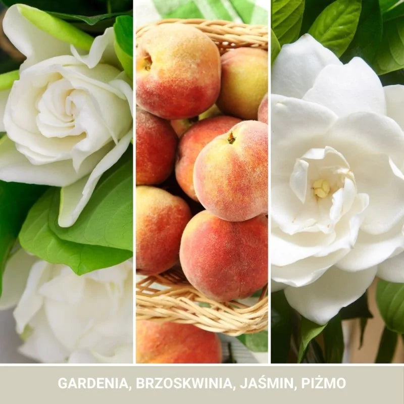 Yankee Candle Signature Świeca Zapachowa Duża White Gardenia