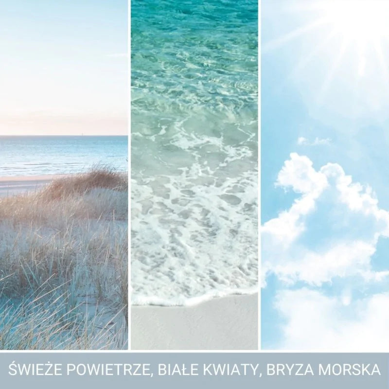 Yankee Candle Signature Świeca Zapachowa Duża Ocean Air