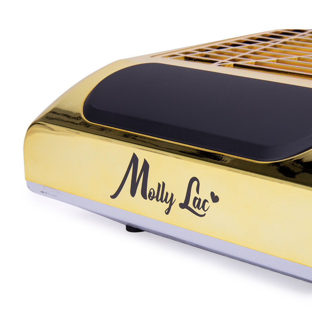 Mollylac Pochłaniacz Pyłu 80W Kasetowy 1-Wiatrakowy Gold Złoty 858-8