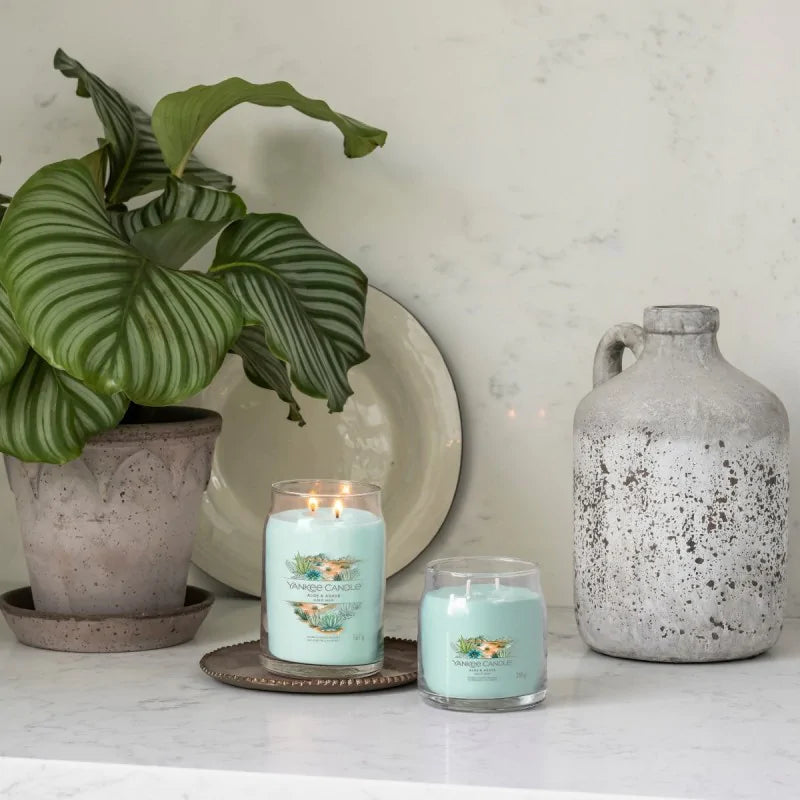 Yankee Candle Świeca Zapachowa Słoik Średni Aloe & Agave