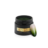 Slowianka Pasta Do Zdobień Pasta Gel Pine Green 3g