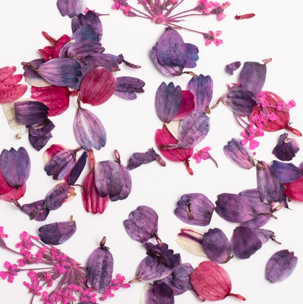 Semilac Flower Flakes Wild Orchid Kwiaty Do Zdobień