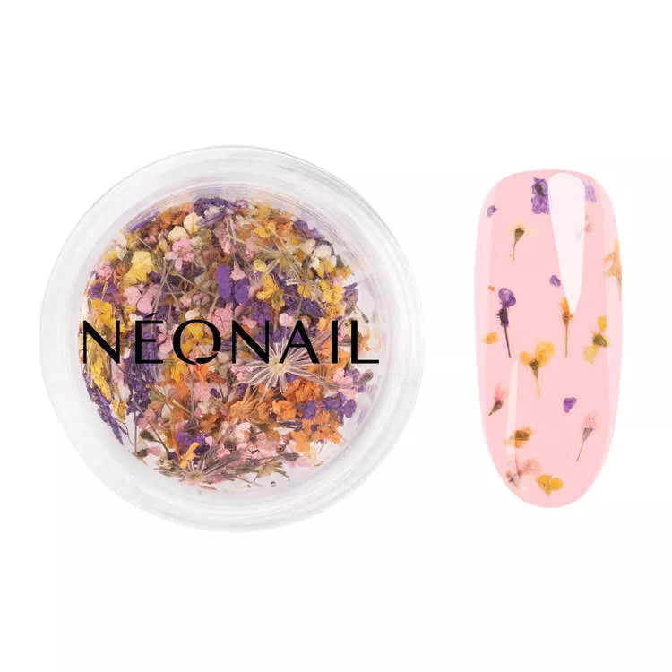 NeoNail Kalendarz Adwentowy Beauty Feels Like Home