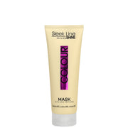 Stapiz Sleek Line Q10 Colour Maska Do Włosów Farbowanych 250ml