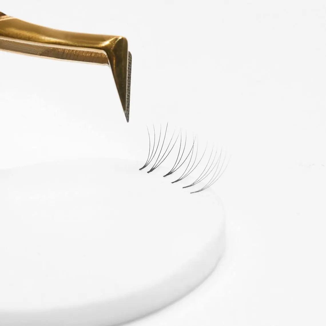 Noble Lashes Gąbeczki Do Ćwiczenia Kępek 10szt.