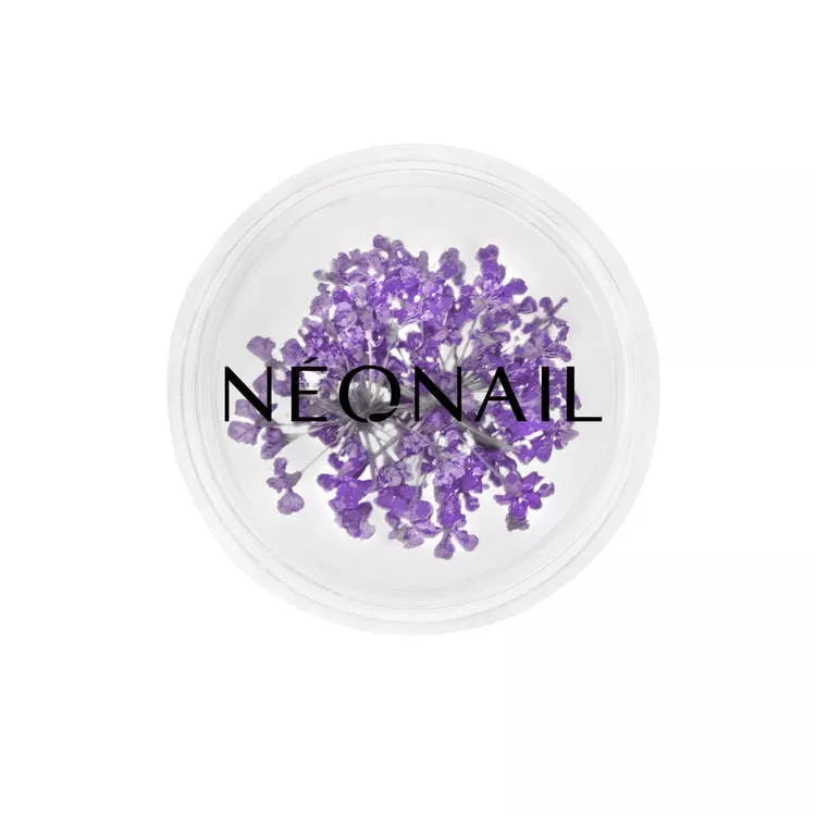 NeoNail Ozdoba Kwiaty Violet 06
