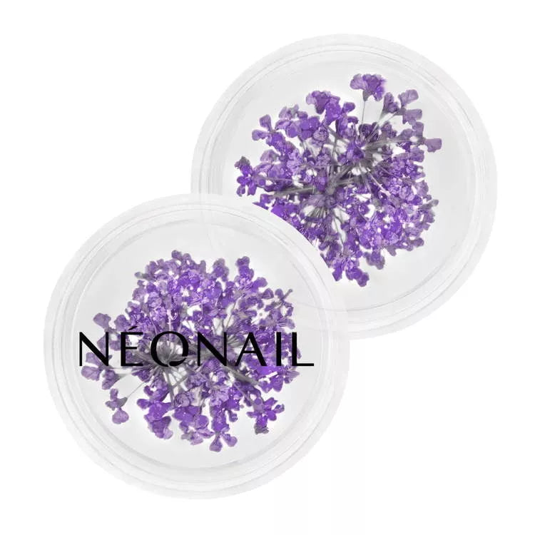 NeoNail Ozdoba Kwiaty Violet 06