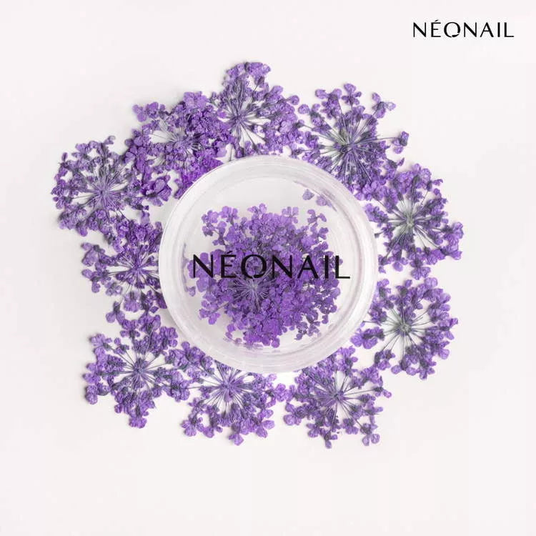 NeoNail Ozdoba Kwiaty Violet 06