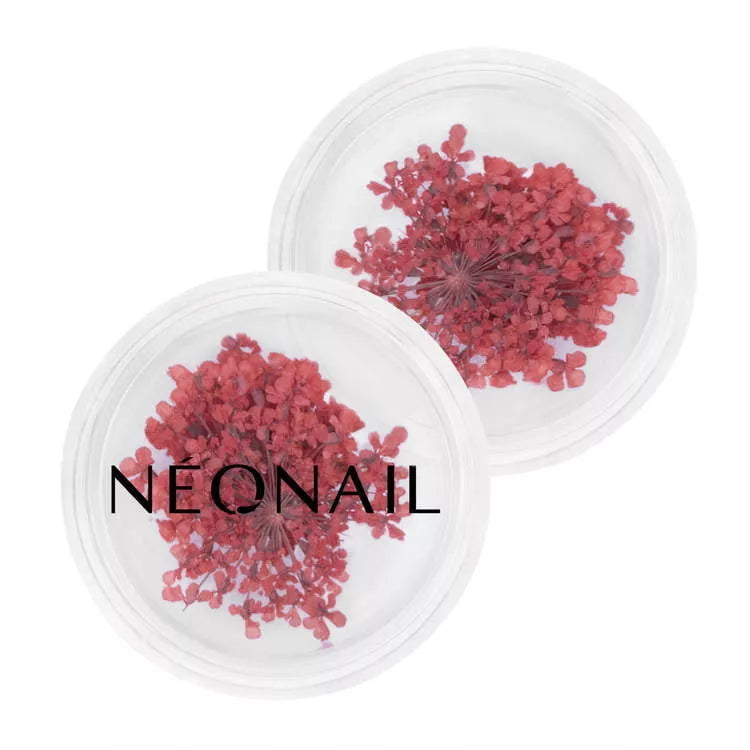 NeoNail Ozdoba Kwiaty Red 08