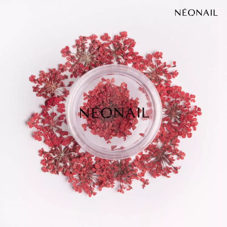 NeoNail Ozdoba Kwiaty Red 08