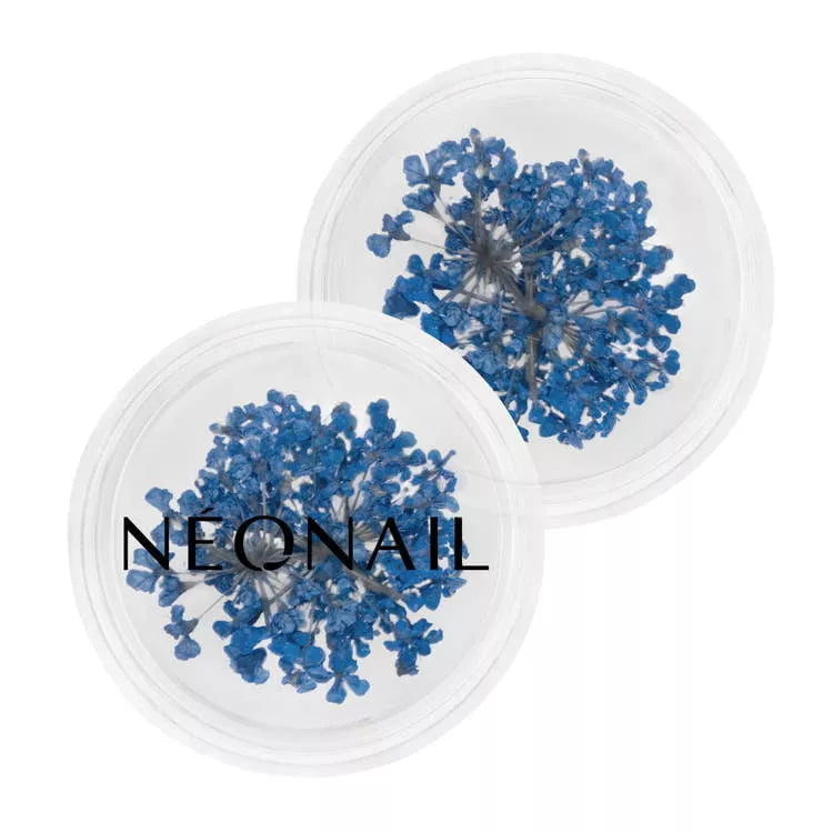 NeoNail Ozdoba Kwiaty Navy 04