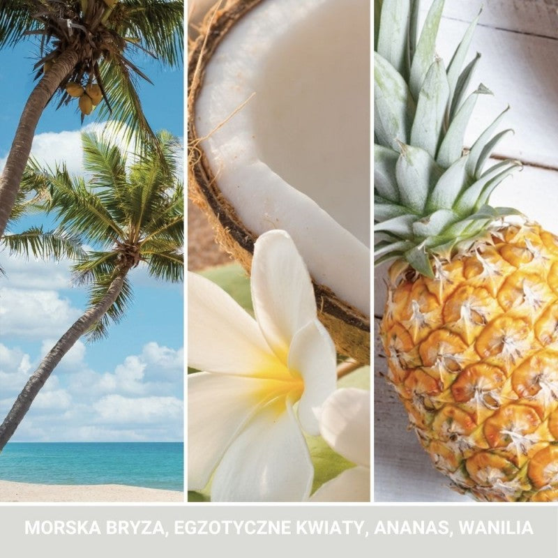 Yankee Candle Signature Świeca Zapachowa Mini Coconut Beach