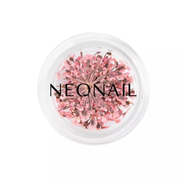 NeoNail Ozdoba Suszone Kwiaty Pink 01