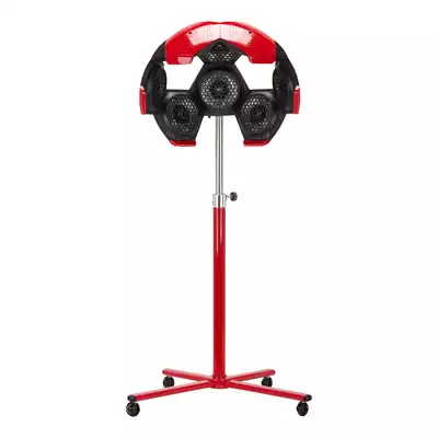 Gabbiano Infrazon Stehend 828 10 Köpfe Rot