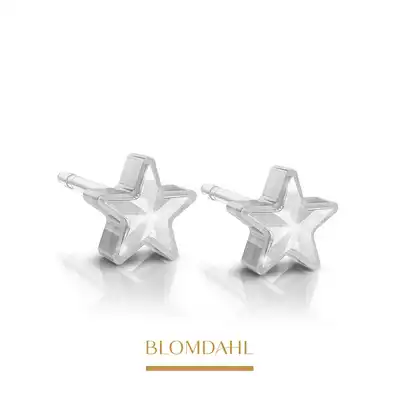 Blomdahl - Kolczyk Star Crystal 6 mm SFJ